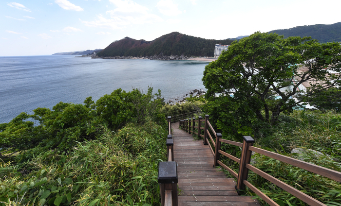 동해안 유네스코 세계지질공원에 속해있는 영덕 축산 죽도산의 둘레길. 죽도산은 해발 80m의 아담한 산으로 무성하지만 시야를 가리지 않는 소죽(小竹)이 군락을 이루고 있다.