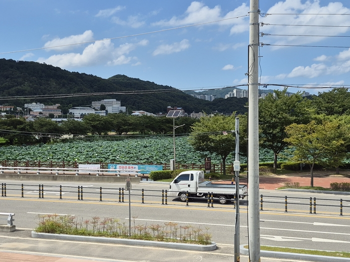 매년 찾아오는 철새 10만마리의 안전을 위협하는 구미시 지산동 지산샛강생태공원 주변 전봇대와 전선.