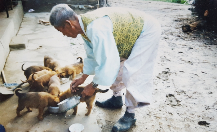 태어난 지 얼마 안 된 강아지들에게 밥을 주고 있는 아버지의 모습. <최연자씨 제공>