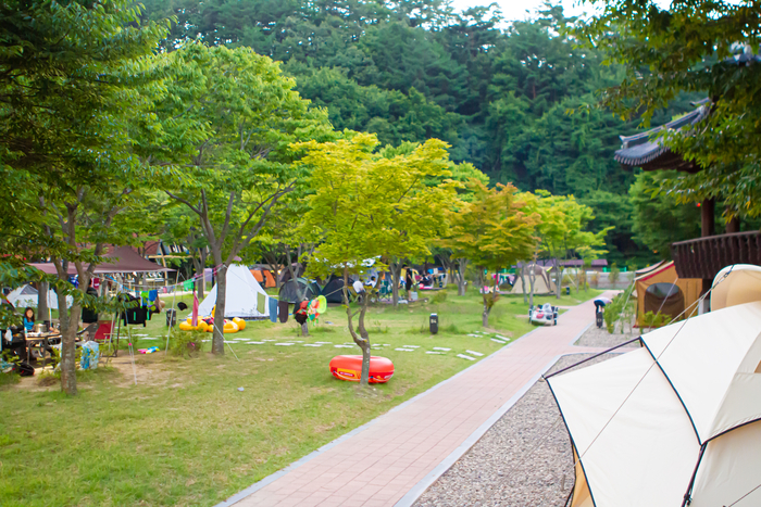영양자연생태공원 캠핑장 전경 <영양군 제공>