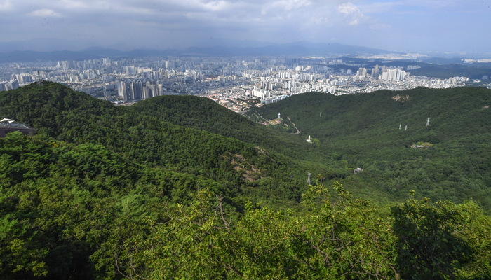 호국정신이 깃든 대구 남구 앞산에는 풍부한 문화유산과 관광자원을 활용하기 위한 사업들이 다양하게 추진되고 있다. 사진은 앞산 전경
