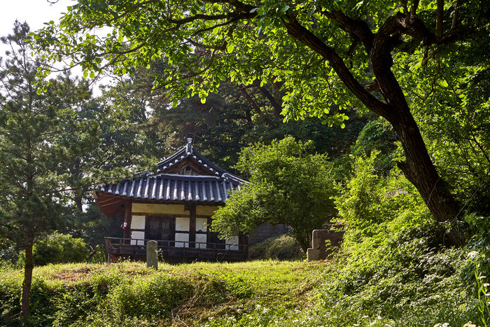 2월 매화 향기가 가득한 고산정근경 <안동시 제공>
