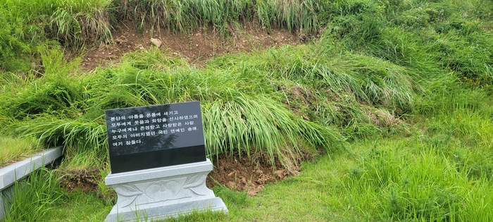 대구 달성군 옥포읍 송해공원 인근 야산에 자리한 송해 선생 부부 묘. 뒤편 절개지가 집중호우로 무너져 흙과 풀더미가 쓸려내린 채 방치돼 있다.강승규 기자