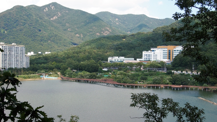 숲속 산책로에서 도원지 저편의 보훈병원이 보인다. 병원 뒤산이 청룡산, 왼쪽의 높은 봉우리가 앞산 정상이다.