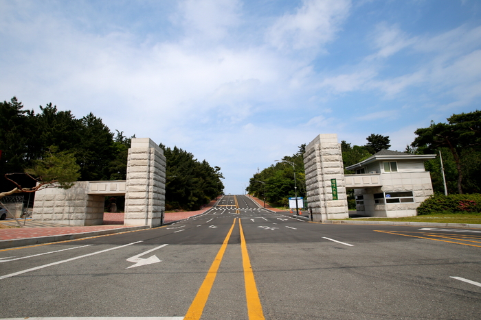 포항대학교 전경. <포항대학교 제공>