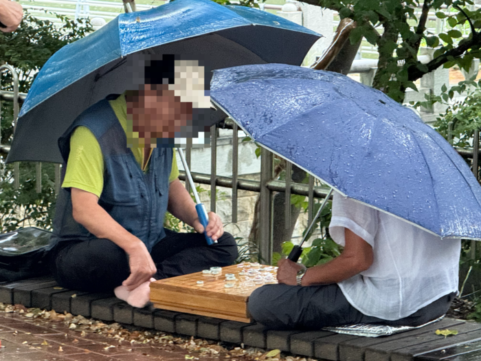 지난달 31일 오후 1시쯤 찾은 두류공원 성당못 일대. 비가 내리는 날씨에도 불구하고 어르신들이 장기를 두고 있다. 구경모기자