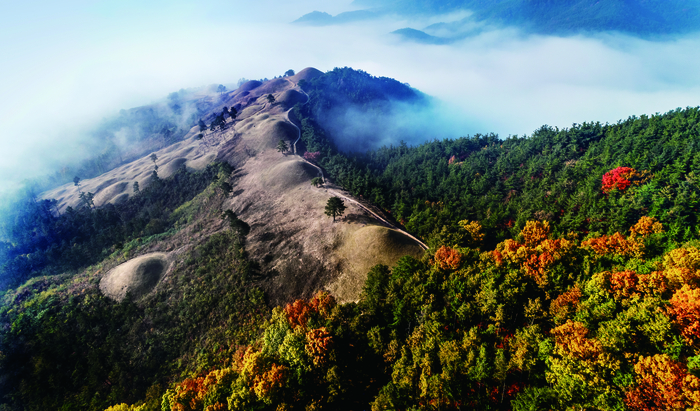 세계문화유산 지산동 고분군 전경 <고령군 제공>