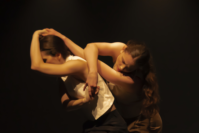 브라질 무용단 '그루포 타피아스(Grupo Tápias)'의 'FANTASMAS'공연 모습. <대구무용협회 제공>