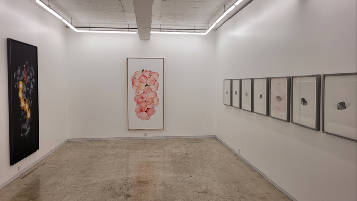 아트스페이스펄에서 고려명, 황인모 작가의 사진전 탐(探)-포도·돌展이 열리고 있다. <임훈기자 hoony@yeongnam.com>