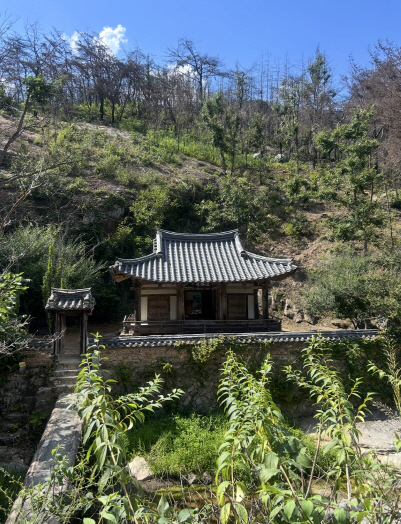 안동 만휴정<안동시 제공>