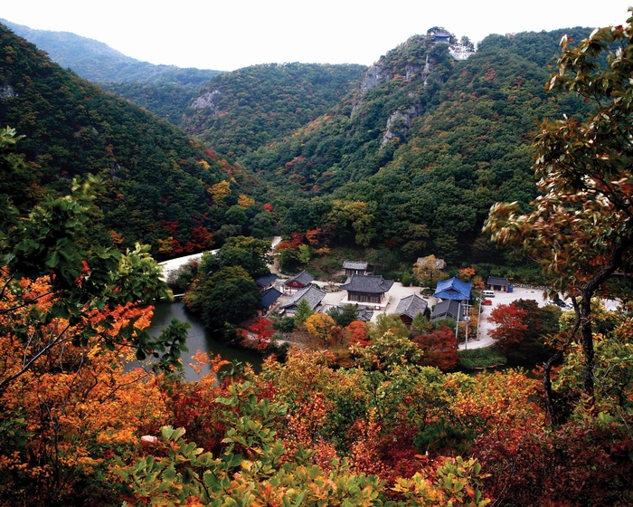운제산 오어사의 사계. <포항시 제공>