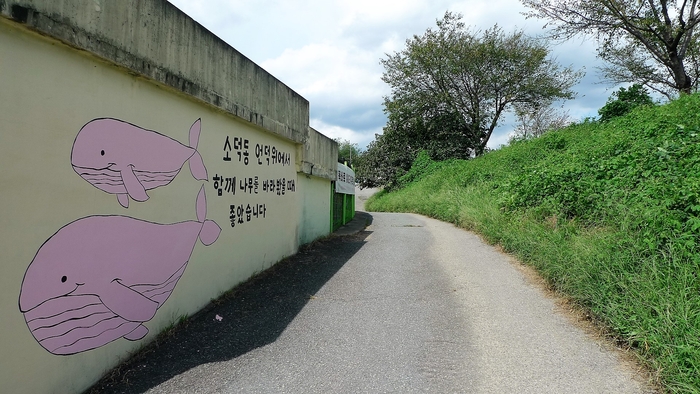 팽나무가 있는 곳으로 가는 길, 오른쪽이 대산제방이다. 대산제는 일제강점기 때인 1920년대에 처음 쌓았다고 한다.