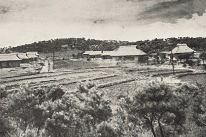 메노나이트 직업학교의 1955년 모습. 경북대학교 농과대학 경산실습장이었던 곳을 메노나이트 중앙재단 한국지부가 부지를 매입·임대해 학교를 세웠다. <메노나이트 아카이브 제공>