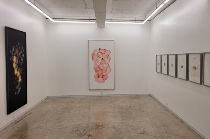 아트스페이스펄에서 고려명, 황인모 작가의 사진전 탐(探)-포도·돌이 열리고 있다. 임훈기자 hoony@yeongnam.com