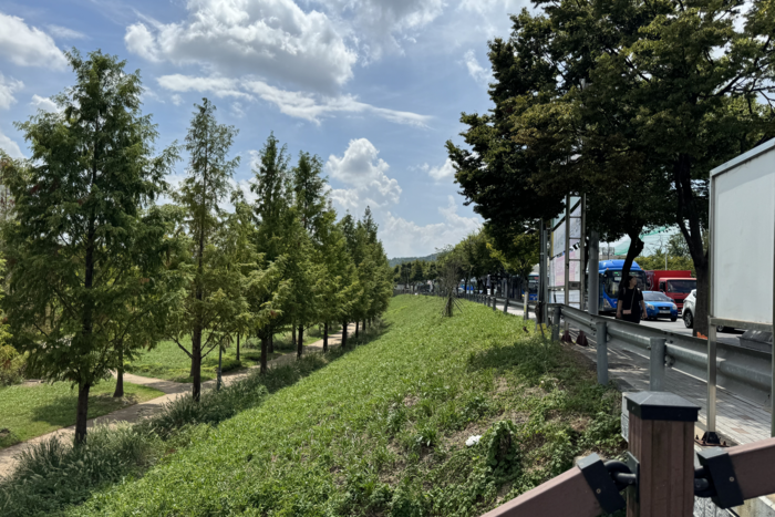 보행데크가 설치될 녹지 구간. 박영민기자