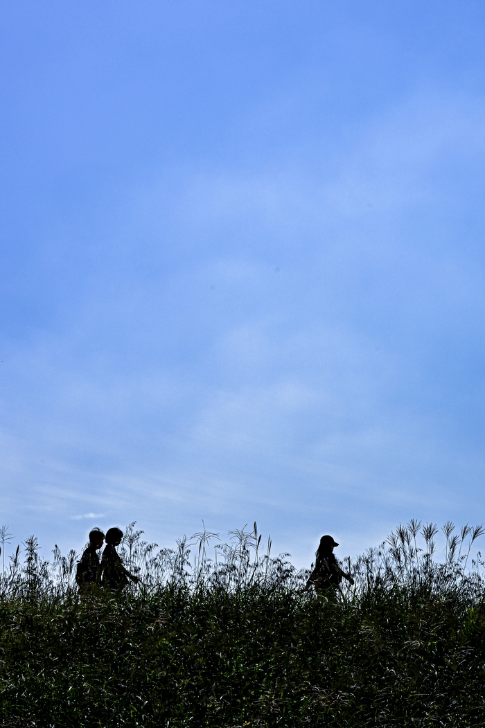 1일 대구 달서구 월광수변공원에서 시민들이 가을 하늘 아래 산책을 즐기고 있다. 대구지방기상청은 이번 주 대체로 흐리고 선선한 날씨가 이어질 것으로 예보했다.
이현덕기자 lhd@yeongnam.com 