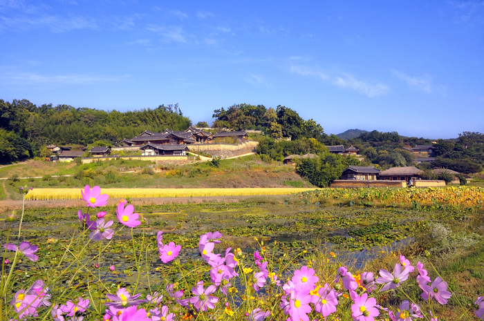 양동마을의 가을. 경주시 제공