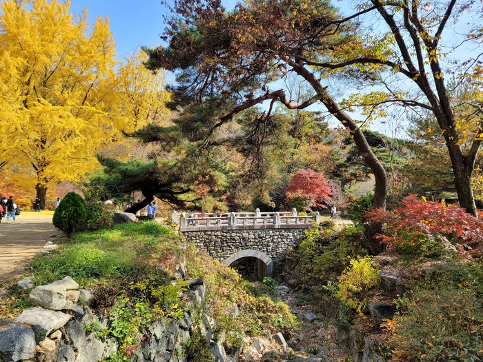 가을메 멋진 풍경을 자랑하는 경북 구미시 무을면 수다사 전경.<구미시 제공>