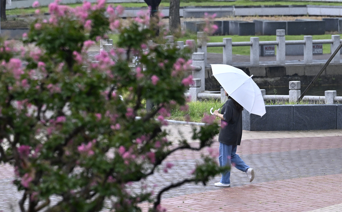 비가 내린 지난8월31일 오후 대구 북구 경북대학교 캠퍼스에서 학생들이 우산을 쓰고 이동하고 있다. 이윤호기자 yoonhohi@yeongnam.com