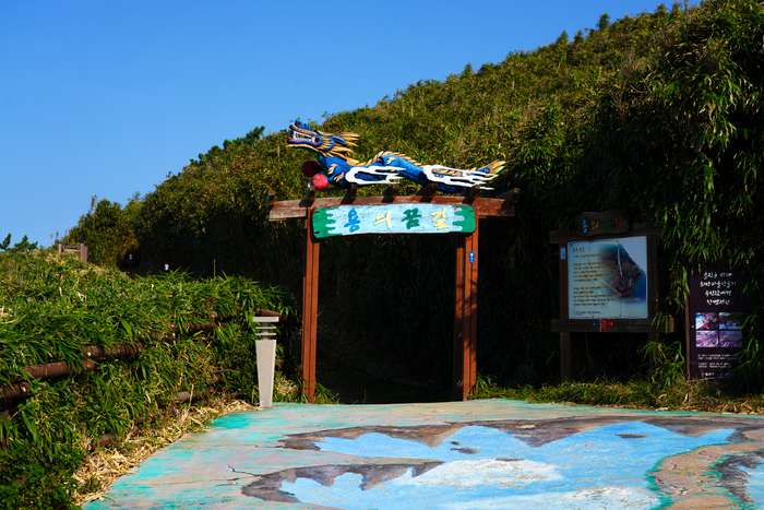 드라마 폭풍속으로의 세트장 옅 죽변  용의 꿈길이라 불리는 대나무 숲길이 이어지는곳에서 시원한 동해 바다도 구경할수가 있다.<울진군 제공>