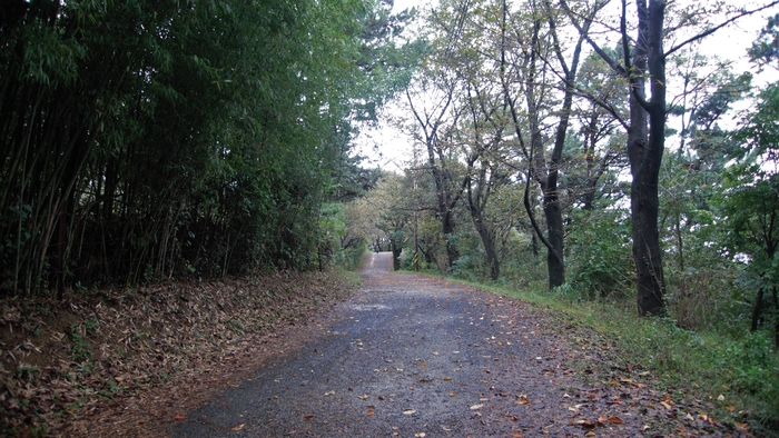 울산대교전망대와 방어진체육공원을 연결하는 산책로. 가파르고, 생각보다 넓지만 운치 있는 길이다. 기계소리가 간간이 들린다.