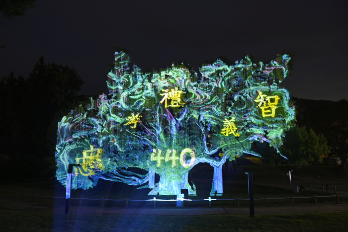 달성군이 유네스코 세계유산 도동서원에서 선보인 은행나무 미디어파사드가 440년 된 은행나무를 빛으로 물들였다. 나무 위에 예(禮)·의(義)·지(智)·효(孝)·감(感) 등 유교의 덕목이 투사되며, 자연과 예술·기술이 어우러진 장관을 연출하고 있다.<달성군 제공>