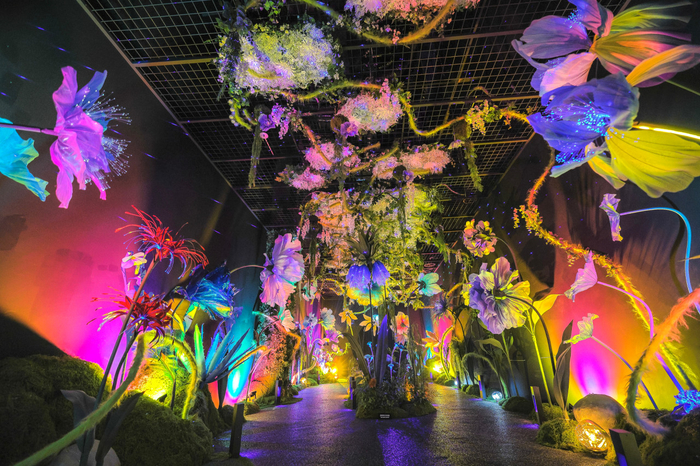 경주 보문관광단지 내 코스믹 리조트(Cosmic Resort) 전시관 내부. 빛과 색, 조형물이 어우러진 몰입형 미디어아트 공간이 관람객의 감각을 자극한다. 코스믹 리조트 제공