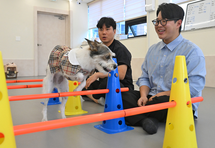본지 구경모(오른쪽) 기자가 몽아시스 표현준 부원장(왼쪽)과 함께 23일 오후 대구 달서구 한 반려견 유치원에서 반려견 훈련 체험을 하고 있다. 이지용기자 sajahu@yeongnam.com