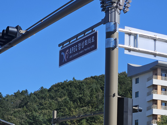 APEC정상회의로라는 이름이 붙은 도로. 서민지기자 mjs858@yeongnam.com