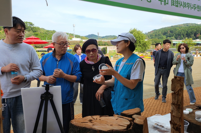 건강한 나무 아름다운 정원