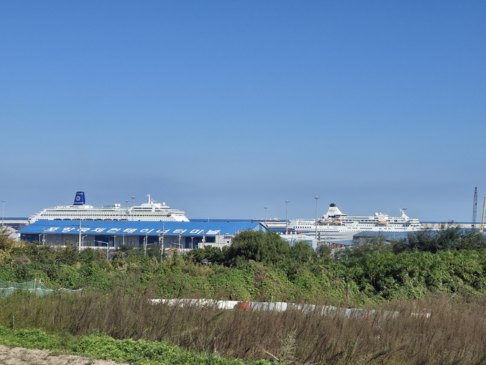 영일만항에 정박한 2대의 크루즈 선박. <전준혁기자>