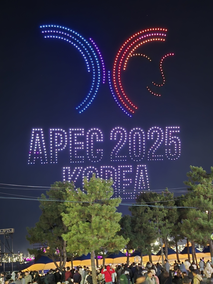 APEC 정상회의 기념 포항 불꽃&드론쇼가 29일 경북 포항 영일대해수욕장에 열렸다. <포항시 제공>