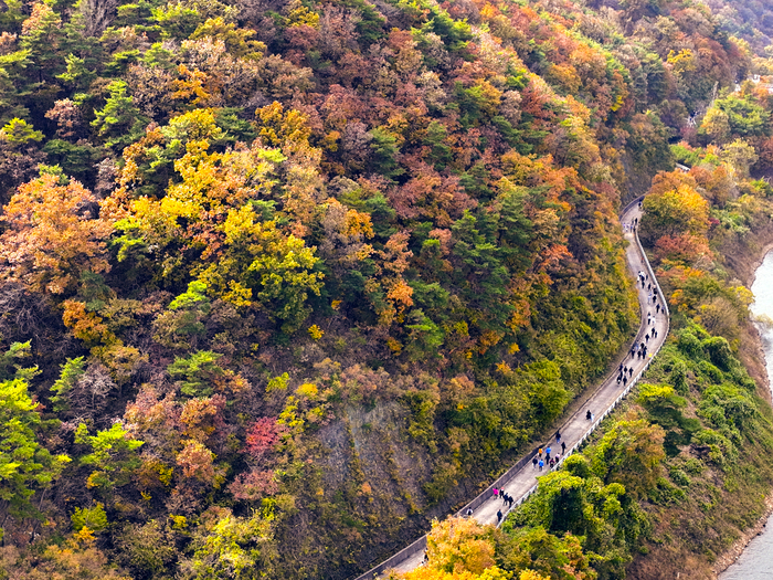 8일 대구시 군위군 삼국유사면 군위댐 둘레길에서 열린 제4회 군위 삼국유사 전국가족 걷기대회 참가자들이 형형색색의 단풍 숲길을 따라 걸으며 가을 정취를 만끽하고 있다. 이번 행사는 영남일보와 군위군체육회, 한국수자원공사가 공동 주최·주관했다.
이현덕기자 lhd@yeongnam.com