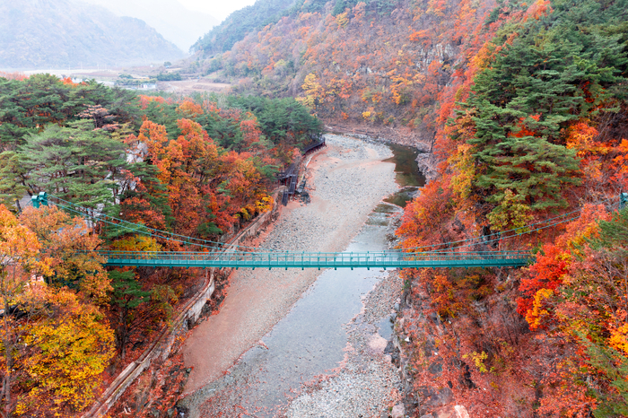 영덕군 지품면 옥산리에 위치한 산성계곡 생태공원 어드벤처는 산림과 계곡이 어우러진 천혜의 자연공원이다. 사진은 공원 어드벤처와 산책로를 이어주는 출렁다리.(영덕군 제공)