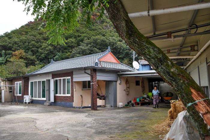 경주 문무대왕면 용당마을에 있는 김종철의 생가터. 용당마을 근처엔 대종천이 있고, 대종천은 용당마을 아이들의 놀이터였다. 어린 김종철도 대종천에서 헤엄을 치거나 물고기를 잡곤 했다.