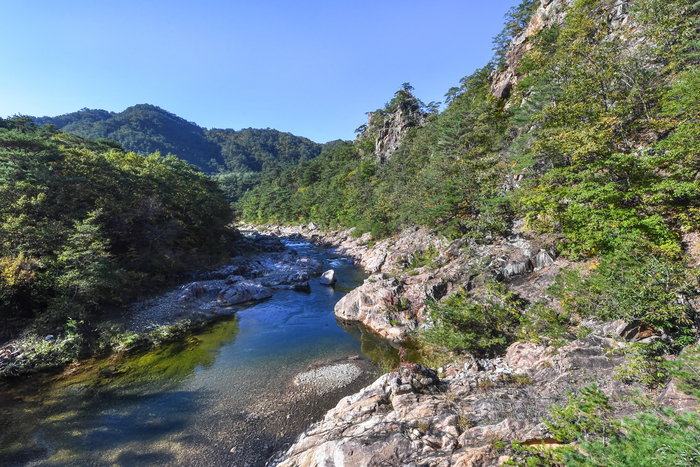 불영계곡의 작은 폭포와 바위틈을 스치는 바람은 걷는 즐거움을 더한다. 절과 계곡이 어우러진 풍경은 마음의 평화와 여유를 느끼게 한다.