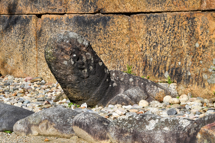 울진 불영사의 돌거북.  불영사로 향하는 산길은 단순한 이동이 아니라 마음을 닦고 비추는 구도의 여정이다. 깨달음은 도착의 순간에 있지 않다. 속도를 내려놓고 길을 생각하는 느린 걸음이 거북의 모습을 떠오르게 한다.