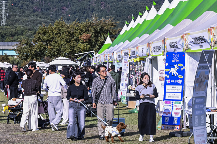 1일 대구 산격야영장에서 열린 제3회 펫동행 페스티벌-멍멍이 페스티벌 행사장을 찾은 시민들이 다양한 체험 부스를 둘러보고 있다. 영남일보가 개최한 이번 행사에는 반려동물과 함께하는 체험·문화 프로그램을 다채롭게 마련했다.
이현덕기자 lhd@yeongnam.com