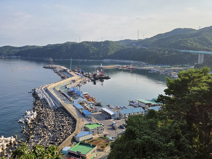 남화산 전망대에서 본 임원항. 임원항은 어족 자원이 풍족하고 바닷물이 깨끗하기로 첫손으로 꼽히는 항이다.