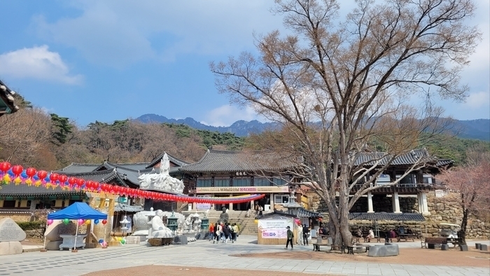 동화사 전경.<영남일보  DB>