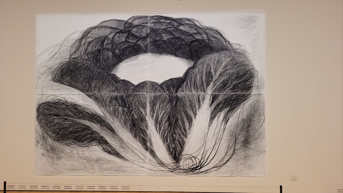 허윤희 작가의 배추  작품이 대구미술관에서 전시 중이다.<임훈기자 hoony@yeongnam.com>