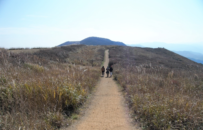 평탄면에서 가장 높은 능선을 따라 길이 이어지고, 길을 경계로 오른쪽은 산청, 왼쪽은 합천이다.