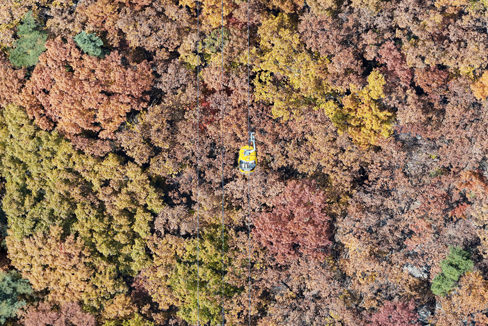 6일 대구 팔공산 케이블카가 울긋불긋한 단풍 숲 사이를 지나고 있다. 붉게 물든 단풍과 노란 숲이 어우러져 행락객들에게 깊어가는 가을 정취를 선사하고 있다.
이현덕기자 lhd@yeongnam.com