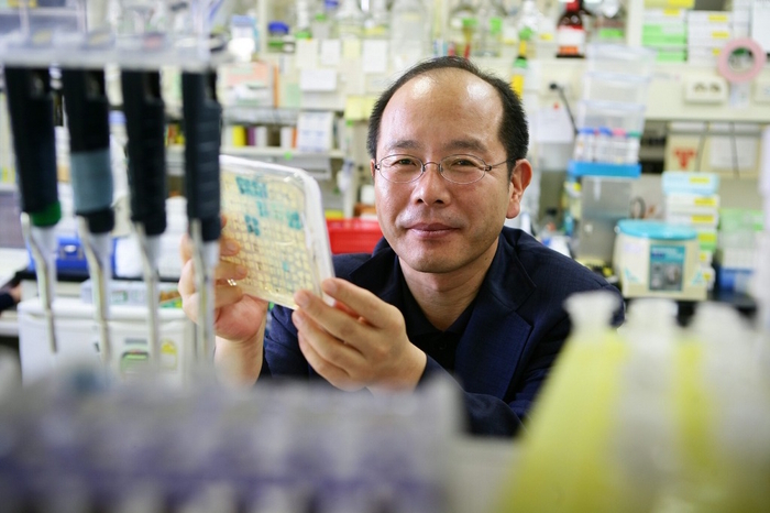 남홍길 대구가톨릭대 역노화연구원장은 노화조절 메커니즘을 제시하며 식물노화 분야의 획기적 전기를 마련하는 데 핵심적 역할을 했다. 경북도 제공