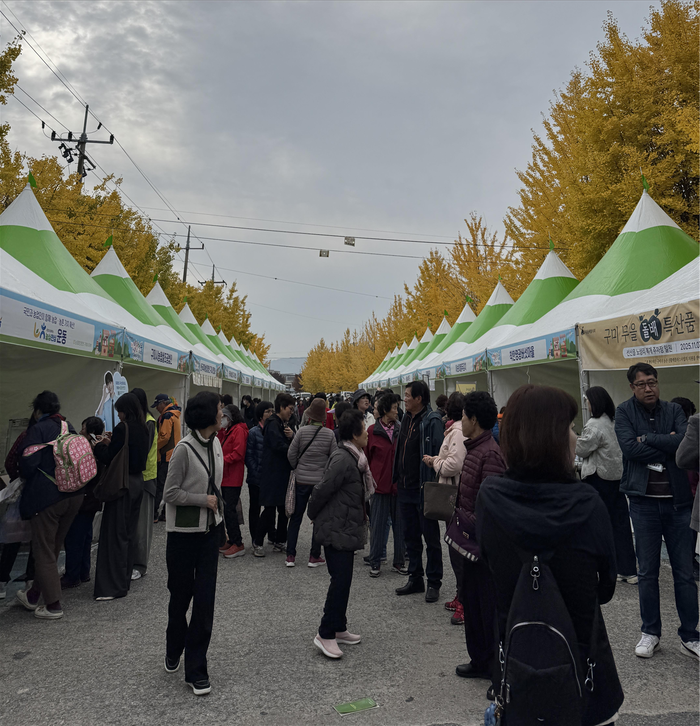 구미시 선산읍에서 열린 구미 일선정품 한마당 대잔치 모습<구미시 제공>