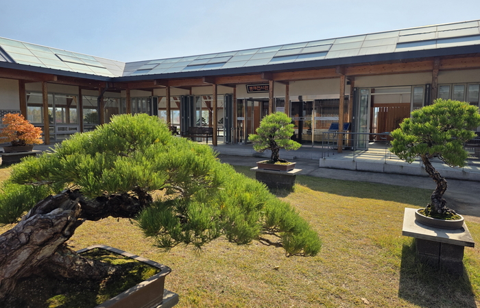 국립세종수목원 분재원에 전시된 분재 작품들. 자연의 축소미학이 공간을 채우고 있다. 황준오기자