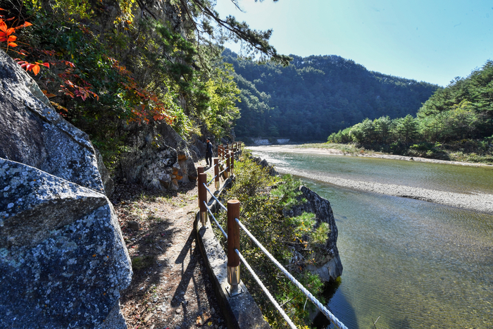 [자연의 속도로 걷다, 울진] 3. 물길 위를 걷는 마음, 태고의 풍경 속으로…왕피천 봇도랑길