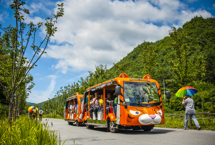 국립백두대간수목원의 상징인 호랑이 트램이 수목원 숲길을 달리고 있다. <국립백두대간수목원 제공>
