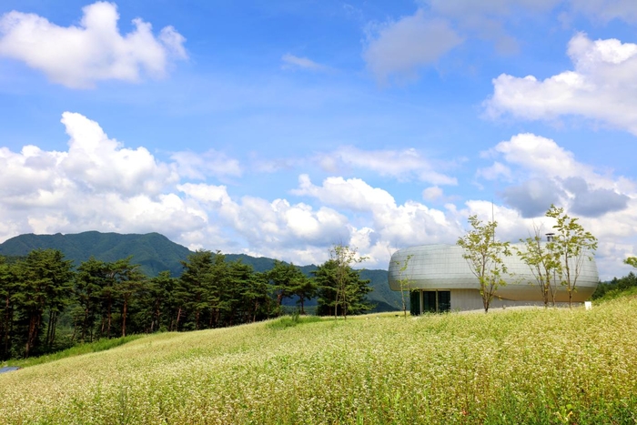 백두대간의 심장, 글로벌 시드볼트 전경. 광활한 백두대간의 산세 속에 생명종자의 저장고가 자리하고 있다. <국립백두대간수목원 제공>