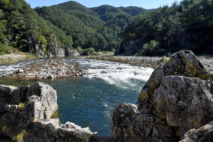 태초의 푸른 생명력을 방류하는 울진 왕피천. 왕피천의 흐름은 쉼 없이 생성을 반복하며 사람과 자연을 잇는다.